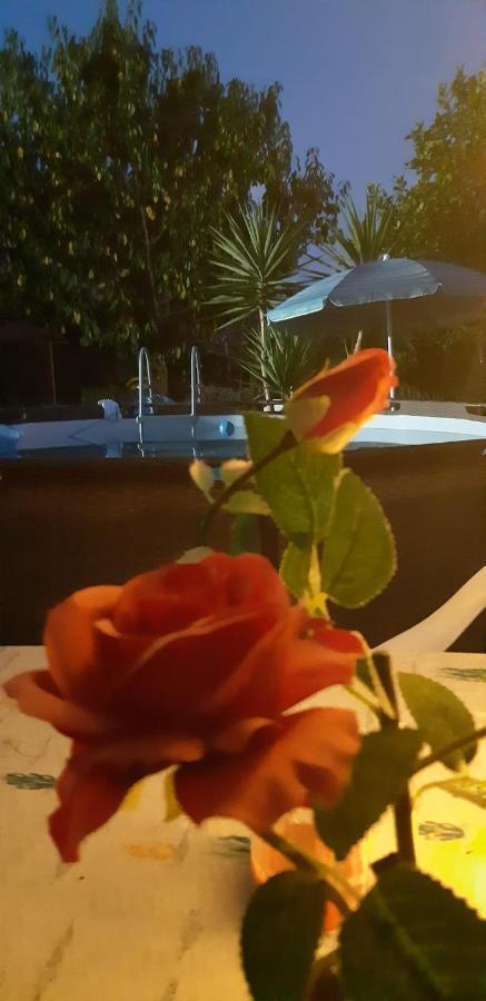 체치나 L'Isola Felice 아파트 외부 사진